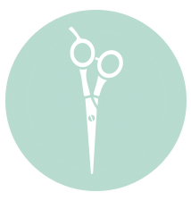 icon representation of professional salon services